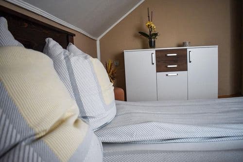 Comfortable bedroom with large windows in Apartment 1